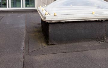 disadvantages of Llanwyddelan flat roofs