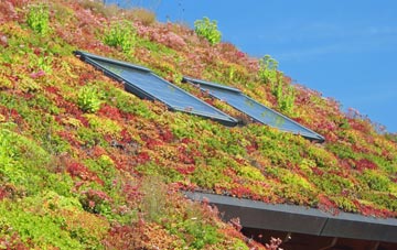 Llanwyddelan living roof systems