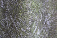 Llanwyddelan fibreglass roof work